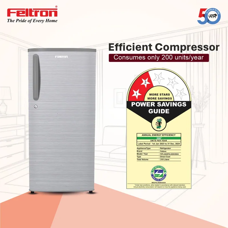Feltron 215 Ltr 2 Star Direct Cool Refrigerator (Silver Hairline Texture) FIPL2402PHLGDX — image 4