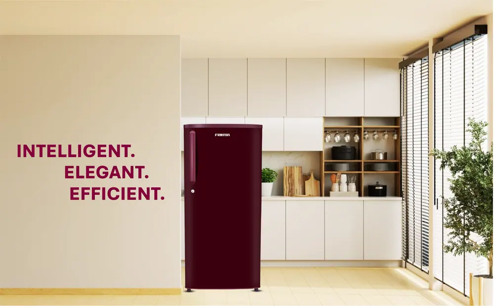 Feltron 190 Ltr 1 Star Direct Cool Refrigerator (Plain Wine Texture) FIPL2151PSPWDX — details 1