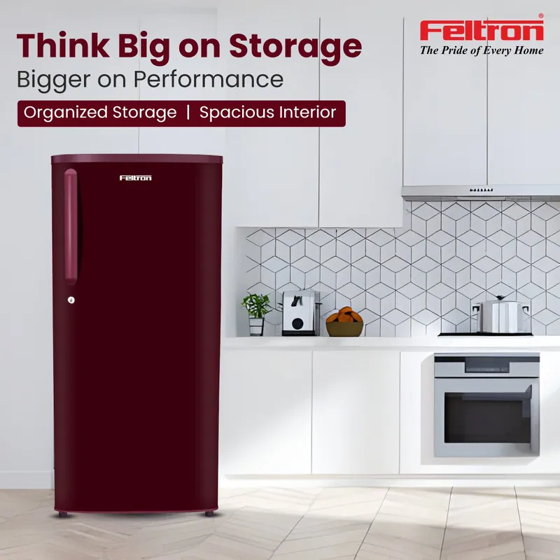 Feltron 190 Ltr 1 Star Direct Cool Refrigerator (Plain Wine Texture) FIPL2151PSPWDX — image 1