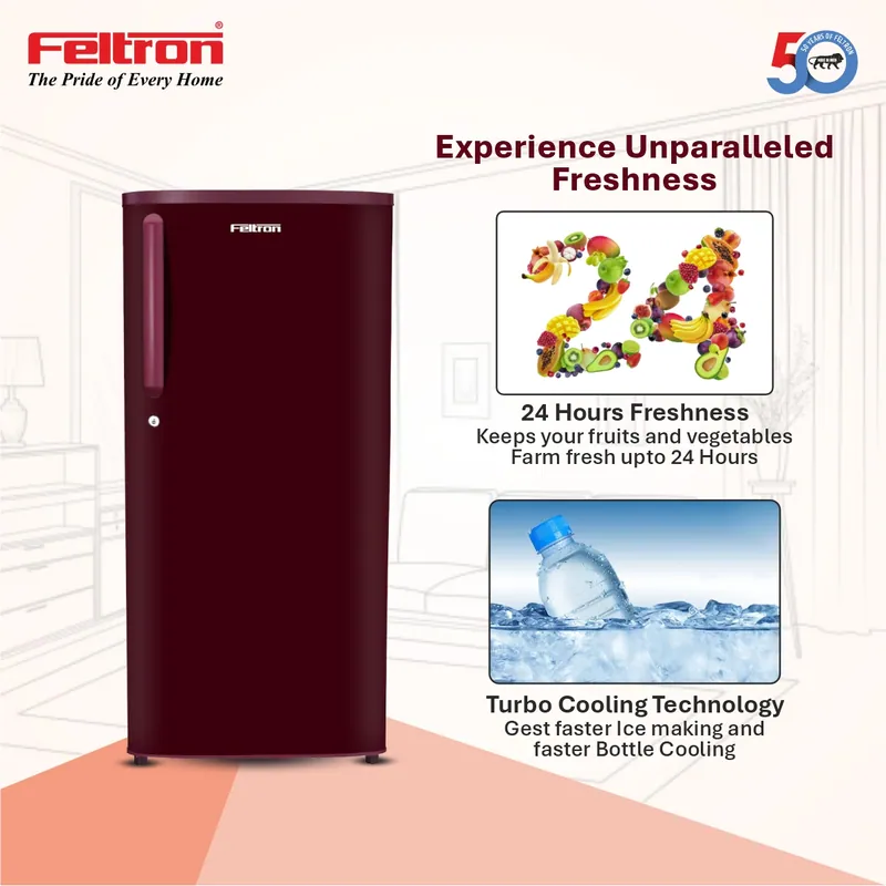 Feltron 190 Ltr 1 Star Direct Cool Refrigerator (Plain Wine Texture) FIPL2151PSPWDX — image 2
